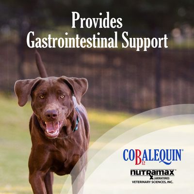 Nutramax Laboratories Cobalequin B12 Supplement for Medium to Large Dogs, 45 Chewable Tablets, Hydrolyzed Chicken, 2.08 ounces
