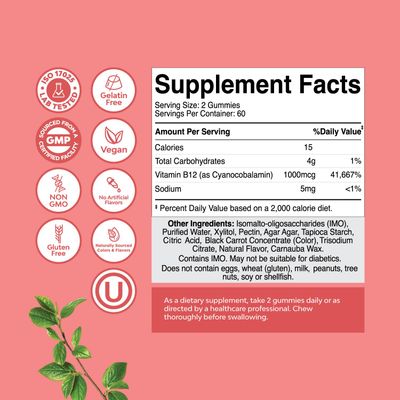 Sugar Free Vitamin B12 1000 mcg Gummies - Vegan B12 Gummies for Adults Energy Focus Immunity and Nerve Support - Vitamin B12 Gummies for Adults - Kosher Non GMO Gluten Free &amp; Vegan (60 Servings)