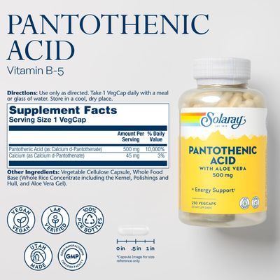 Solaray Pantothenic Acid 500mg - Vitamin B 5 - B Vitamin for Coenzyme-A Production, Energy Metabolism, Digestive Health, Hair Health, Skin and Nails Support - Vegan, 60-Day Guarantee - 250 VegCaps
