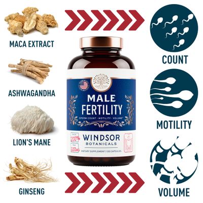 Male Fertility Supplement with Maca Root - Mens Health Conception Fertility Prenatal Vitamins Plus Natural Extracts - Prenatal Fertility Supplements for Men - 3rd Party Tested - 120 Capsules, 2 Month