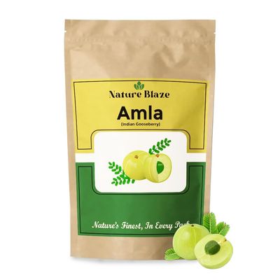 Organic Herbs Herbal Natural &amp; Authentic (Amla Extract Powder 400Gm 14 Oz)