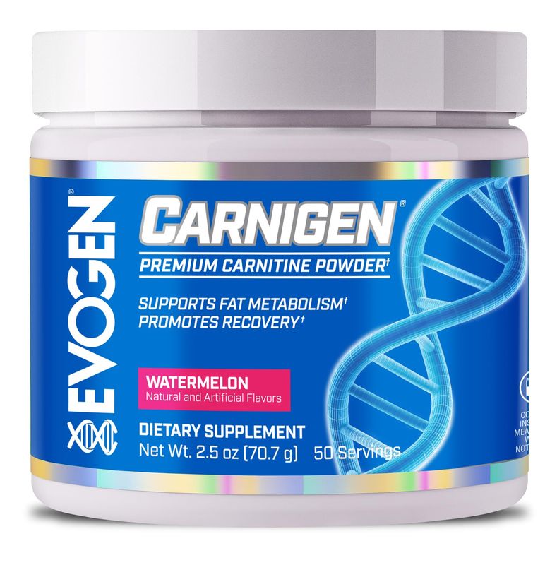Evogen Carnigen Premium Carnitine Powder | Supports Fat Metabolism &amp; Promotes Recovery | Stimulant-Free L-Carnitine Matrix | Watermelon | 50 Servings