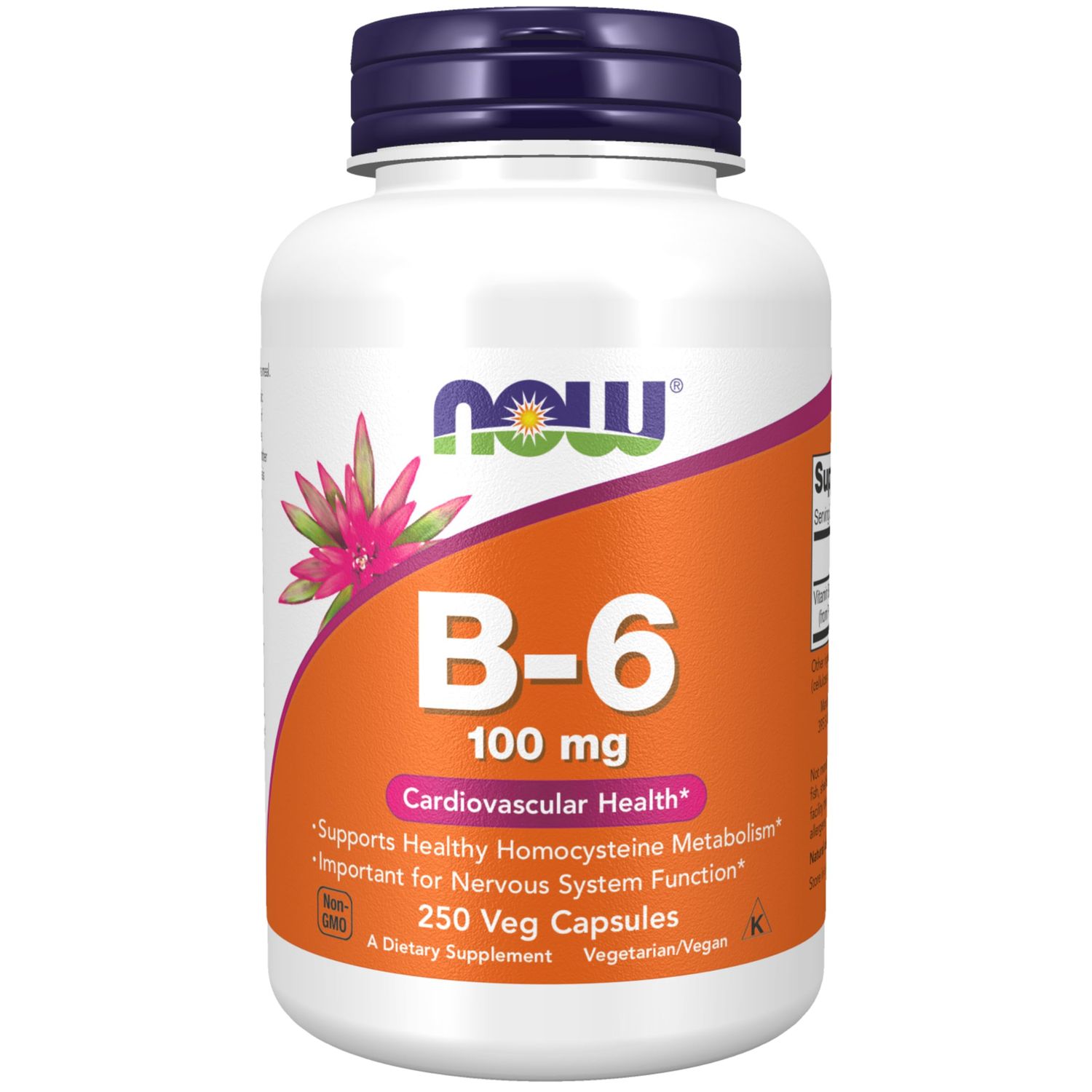 NOW Foods Supplements, Vitamin B-6 (Pyridoxine HCl) 100 mg, Cardiovascular Health, 250 Veg Capsules