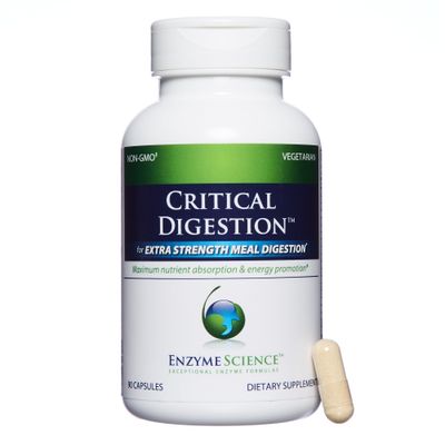 Enzyme Science Critical Digestion, 90 Capsules - High Potency Support for Digestion, Bloating, Indigestion, &amp; Irregularity - Probiotic- Gut Health Formula -Vegetarian