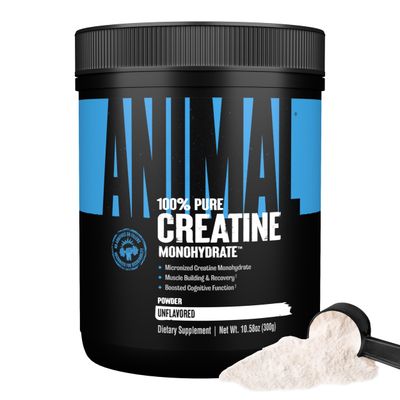 Animal Micronized Creatine Monohydrate Powder - Delays Muscle Fatigue, Supports Muscle Growth, Endurance, ATP Production, Cognitive Function, Strength, and Recovery for Men & Women - Unflavored, 300g