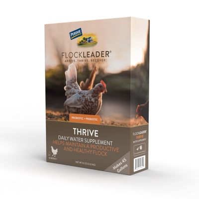 FlockLeader Thrive, Daily Probiotic &amp; Prebiotic Water Supplement for Chickens 8+ Weeks Old, 8 oz