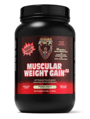 Healthy &#39;N Fit Muscular Weight Gain v3.0- Natural Vanilla (2.5lb): Highest Protein Gainer- Only protein builds muscle. From America&#39;s #1 Brand in Supplements Technology and Purity.
