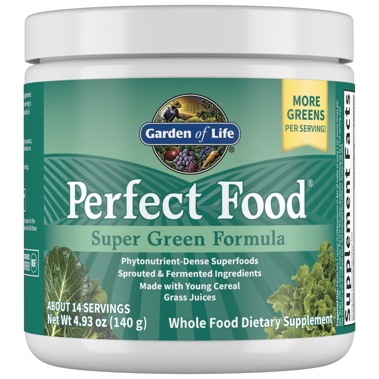 Garden of Life Perfect Food Super Green Formula - 14 Servings | 45 Superfoods, Greens, Fruit &amp; Veggie Juice Superfood Powder Supplement, Probiotics &amp; Organic Spirulina for Digestion &amp; Immune Health