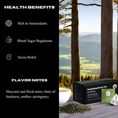 Tribal Trail Organic Green Tea Bags (30 count / 2.12 oz) | Darjeeling Tea (Second Flush) | USDA Organic &amp; Non-GMO | Artisanal Tea from Himalayas