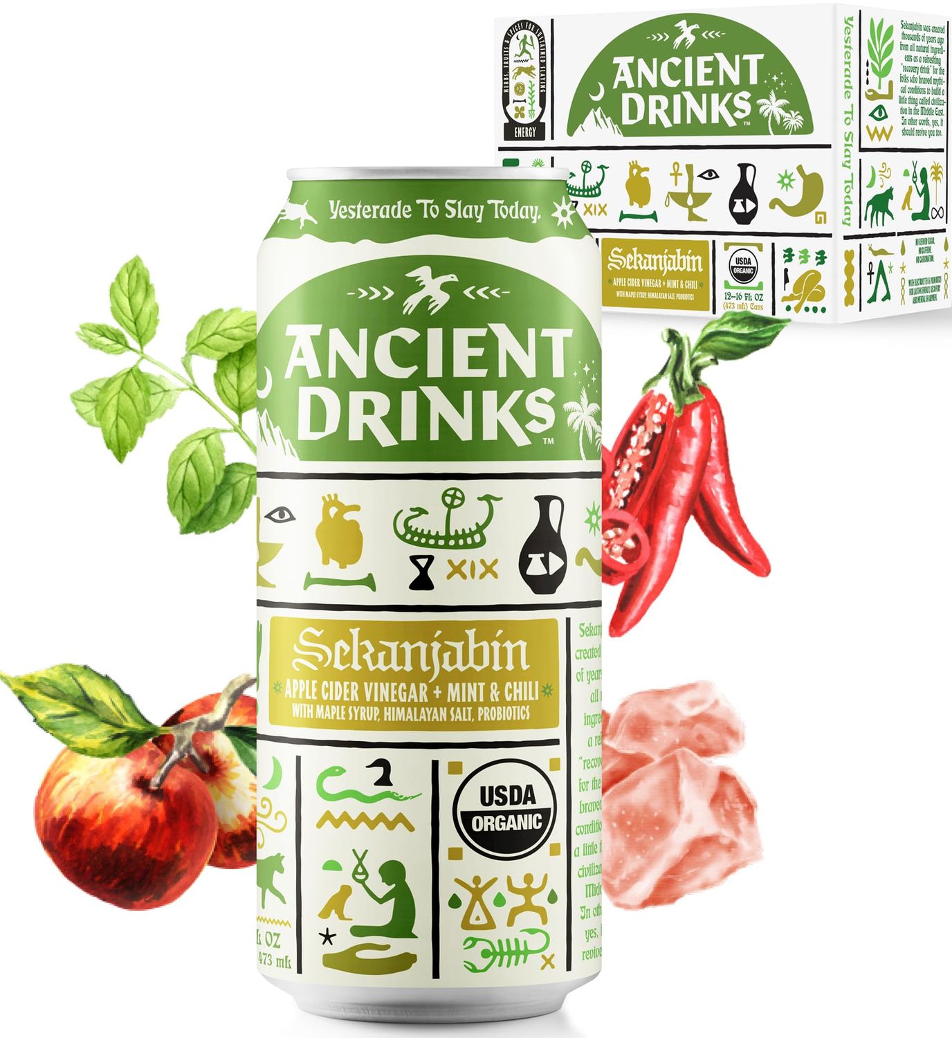 ANCIENT DRINKS Apple Cider Vinegar Beverage with Electrolytes, Vitamins, &amp; Probiotics, Organic, Super-Hydrating Sports Drink - Sekanjabin (Mint &amp; Chili) - 16 fl oz (12 cans)
