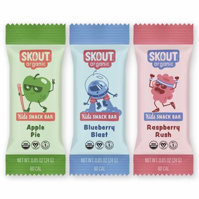 Skout Organic Real Food Bars for Kids Fruit Variety Pack (18 Pack) | Organic Snacks for Kids | Plant-Based Nutrition, No Refined Sugar | Vegan | Gluten, Dairy, Grain &amp; Soy Free