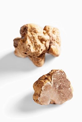 La Rustichella - White Truffle Pat 9.88 oz (280 gr) - 100% Made in Italy | Vegan, Gluten-Free, Cholesterol-Free