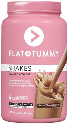 Flat Tummy Tea Meal Replacement Shake  Chocolate 20 Servings EBT Eligible  Plant Based Protein Powder for Women  Vitamins  Minerals  Dairy Free Gluten Free KetoFriendly Shakes  176 Pound Pack of 1