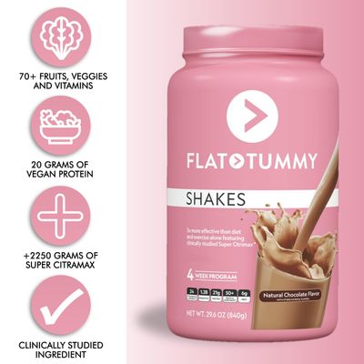 Flat Tummy Tea Meal Replacement Shake Chocolate 20 Servings EBT Eligible Plant Based Protein Powder for Women Vitamins Minerals Dairy Free Gluten Free KetoFriendly Shakes 176 Pound Pack of 1