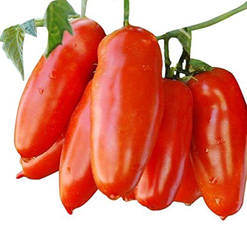 San Marzano - A Delicious Tomato for Sauces, Paste, Canning