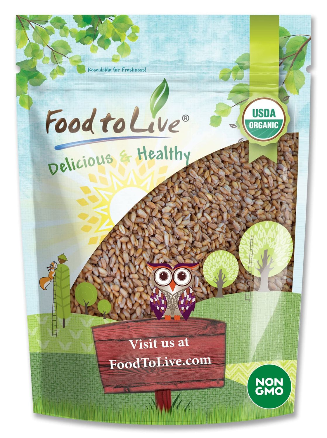 Food to Live Organic Hulled Barley, 1 Pound - Non-GMO, 100% Whole Grain, Kosher, Vegan, Bulk. Suited for Home Brewing, Grinding. High in Fiber. Great for Chili, Hot Cereal, Salads, Soup