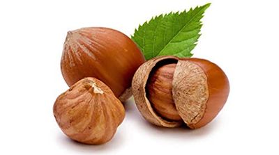 Fiskobirlik Hazelnut Butter Spread 300 gr - Turkish Hazelnut