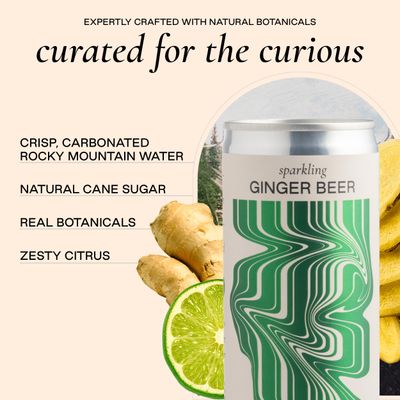 Strongwater Sparkling Ginger Beer - 12 Pack Cans (8.4 Fl Oz Each) - Premium Craft Cocktail Mixer Made with Filtered Rocky Mountain Water & Ginger Root - Real Cane Sugar, No Artificial Flavors