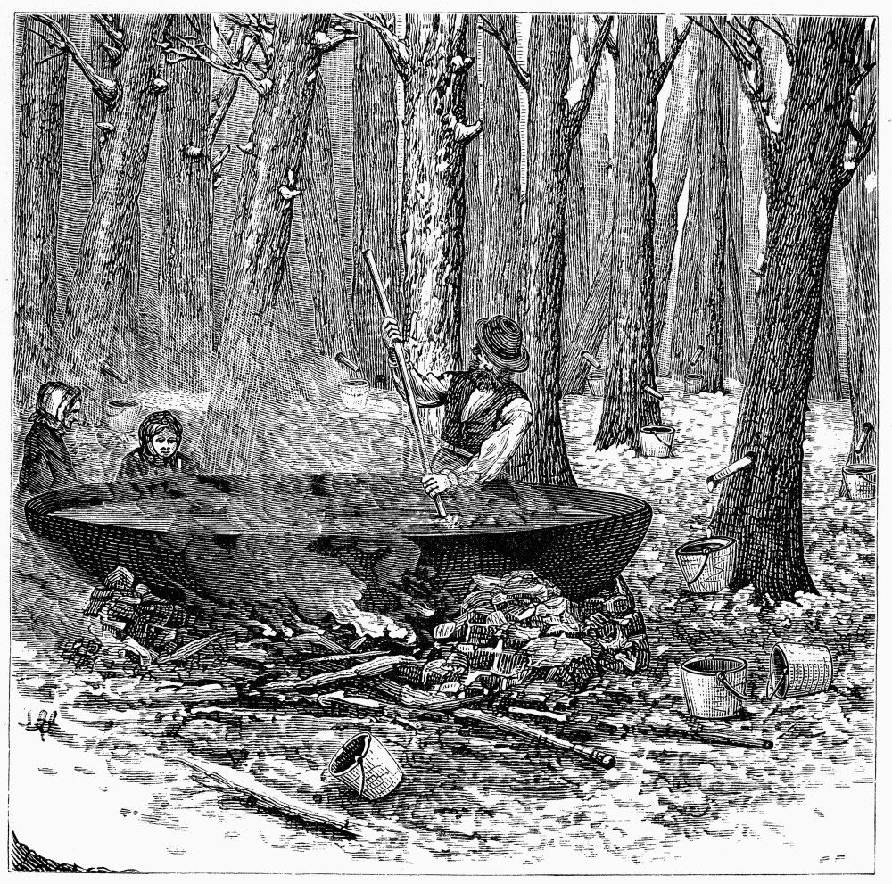 Maple Syrup 1877 Nboiling And Stirring Maple Sap In Order To Make Syrup Wood Engraving American 1877 Poster Print by (24 x 36)