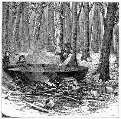 Maple Syrup 1877 Nboiling And Stirring Maple Sap In Order To Make Syrup Wood Engraving American 1877 Poster Print by (24 x 36)