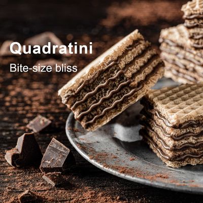 Loacker Quadratini Dark Chocolate Wafer Cookies LARGE - 30% Less Sugar - Premium Crispy Bite Size Wafers - NON-GMO - LARGE Pack of 6