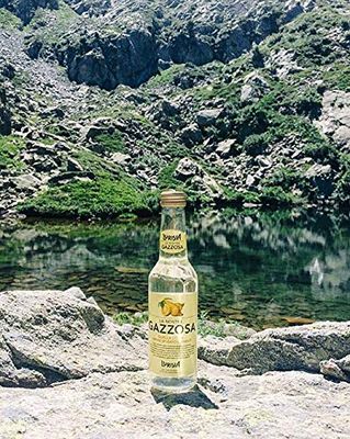 Lurisia La Nostra Gazzosa, Sparkling Lemon Beverage, 9.3 fl oz (12 Glass Bottles)