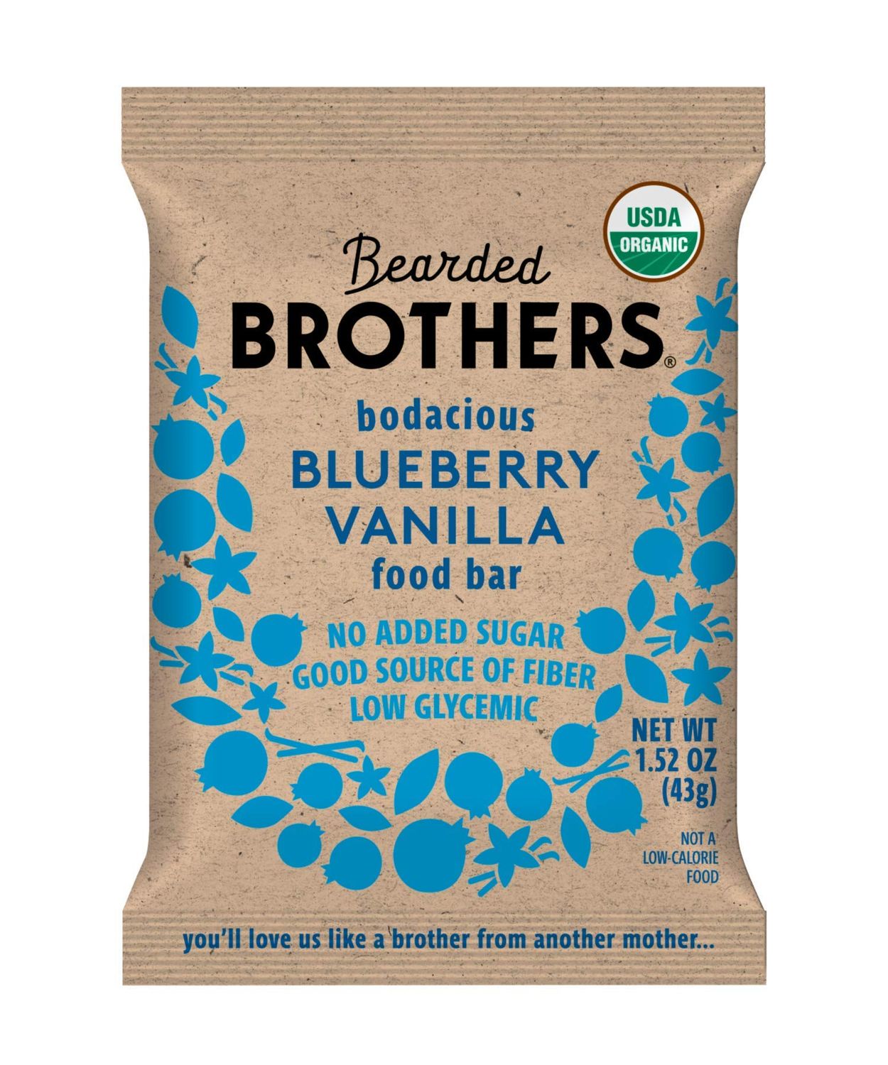 Bearded Brothers Organic Vegan Protein Energy Bars - Gluten Free, Soy Free, Paleo, Fiber, Whole 30 | Non GMO, Low Glycemic | 12 Pack Blueberry Vanilla
