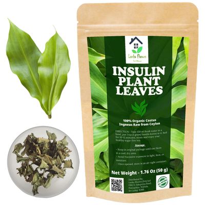 Lanka Flavors Feel Different Dried Insulin Plant Leaves 1.76 oz (50g) Natural Costus Igneus Organic Herbal Tea for Sugar-Free with 50 Cups