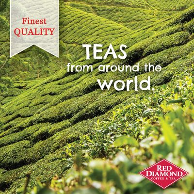 Red Diamond Iced Tea Bags | Family Size Tea Bags | Delicious and Freshly Brewed Taste | Special Premium Blend | 15 Count Quart-Size Bags (12 Pack - 180 Count)