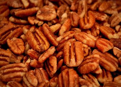 Pecan Shop Unsprayed Sprouted 2 lb Raw Wild-Harvested Family Recipe Crispy Sea Salt Texas Native Pecans-Fresh Direct Ship