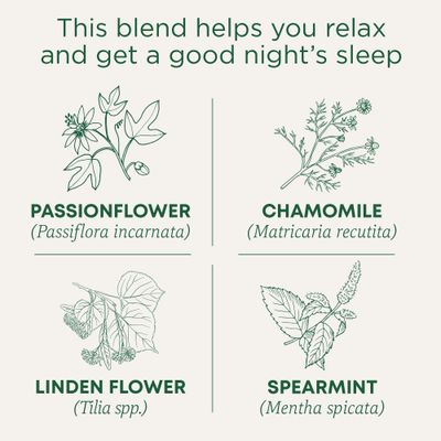 Traditional Medicinals Tea, Organic Nighty Night, Relax &amp; Get a Good Night's Sleep, Includes Spearmint 96 Tea Bags (6 Pack)