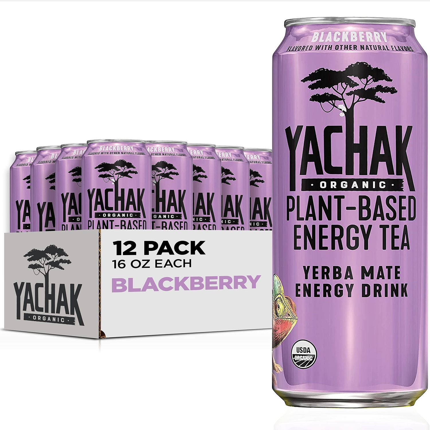 Yachak Yerba Mate Drink, Blackberry, 16 Fl Oz Cans, Pack of 12