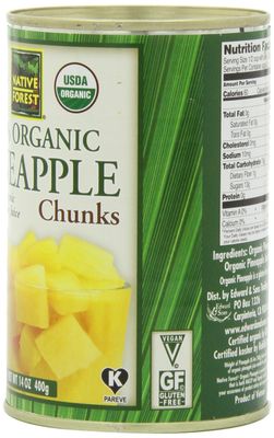 Native Forest Organic Pineapple Chunks - Canned Pineapple Chunks in Juice, Canned Fruit, Pineapple Canned, Pineapple Juice - 14 Ounce (Pack of 6)