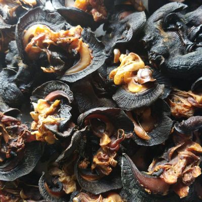 Enerem Oven Dried African Snails Small size (4 large size)