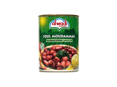 Al Wadi Foul Moudammas - Fava Beans in Brine, 14-Ounce (Pack of 12)