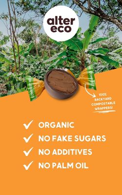 Alter Eco | Salted Caramel Truffles | 58% Pure Dark Cocoa, Fair Trade, Organic, Non-GMO, Gluten-Free Dark Chocolate Truffles (10 Count (Pack of 1))