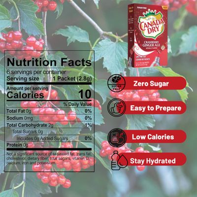 LLE Canada Dry Powder Drink Mix Cranberry Ginger Ale Flavor, Sugar Free &amp; Delicious Water Enhancer Easy to Prepare Powdered Beverages for Picnic Camping Outdoor Drinks 6ct Box, 2 Boxes-12 Sticks Total
