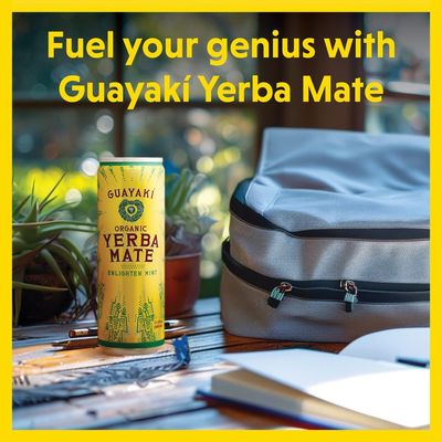 Guayak Yerba Mate, Energy Drink Alternative, Organic Enlighten Mint Flavor, 15.5 Oz (Pack of 12), 150mg Natural Caffeine, Smooth Energy &amp; Focus