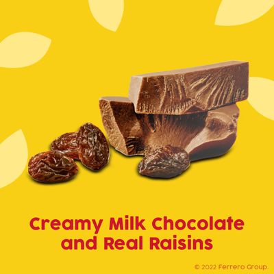 Raisinets, Milk Chocolate Covered California Raisins, Movie Theater Candy Box, 3.1 oz each, Bulk 15 Pack