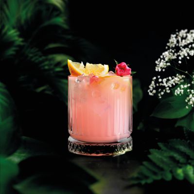 Pearsons Botanicals Rhubarb &amp; Ginger Non Alcoholic Gin, Award Winning Spicy and Warming Blend, Non Alcoholic Spirits - Halal, Low Sugar, and Gluten-Free, Part of the Spirits of Virtue Range (700ml)