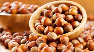 Turkish Hazelnut Butter 300 gr.