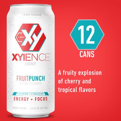 Xyience Fruit Punch Energy Drink, 16 fl oz can (Pack of 12)