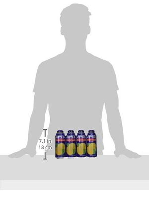 Jumex Guava Nectar 16.9 Fl oz (12-Pack)