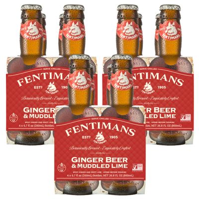 Fentimans Sparkling Ginger Beer &amp; Muddled Lime - Ginger Beer Non Alcoholic, Ginger Ale with Natural Ginger Root, Mixer, Craft Soda, No Artificial Flavors or Preservatives - 6.7 Fl Oz (Pack of 12)