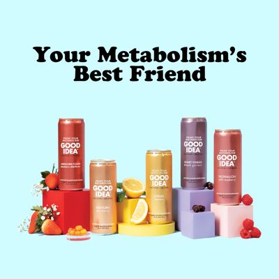 GOOD IDEA - Functional Sparkling Water - 5 Flavors - Primes Metabolism, Balances Blood Sugar - Caffeine Free, Vegan, Keto Friendly, Non GMO, Gluten Free, Kosher - Variety Pack Bundle - 12oz - 30 Cans