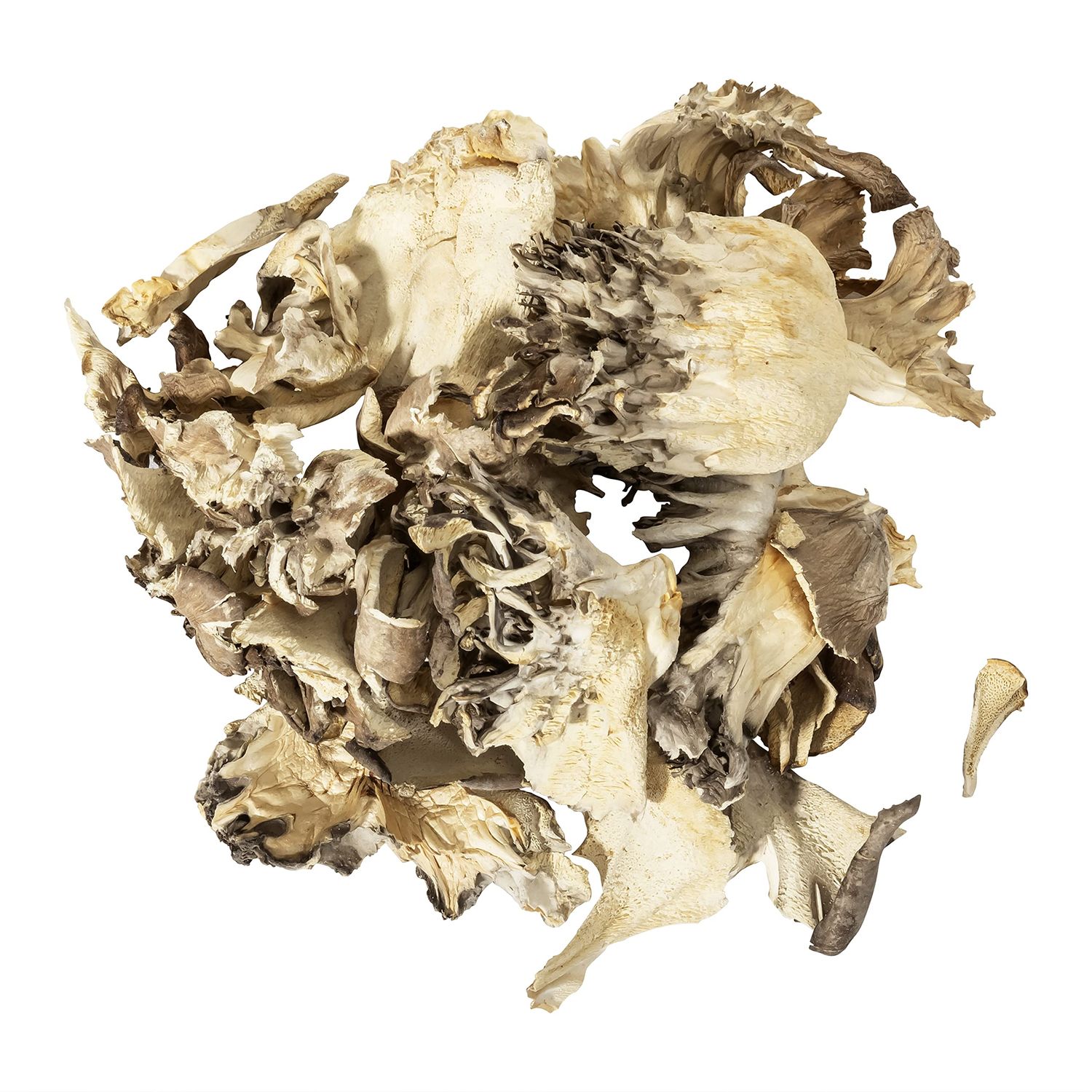 OliveNation Organic Maitake Mushroom Pieces, Dried Organic Hen of the Woods Mushroom, Non-GMO, Gluten Free, Kosher, Vegan - 4 ounces