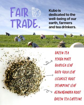 Kubo Tea, Energize Yerba Mate Green Tea, Organic High Caffeine Blend, 20 Servings (140mg Caffeine each), Pyramid Tea Bags, Compostable & Biodegradable Packaging, Healthy Coffee Substitute