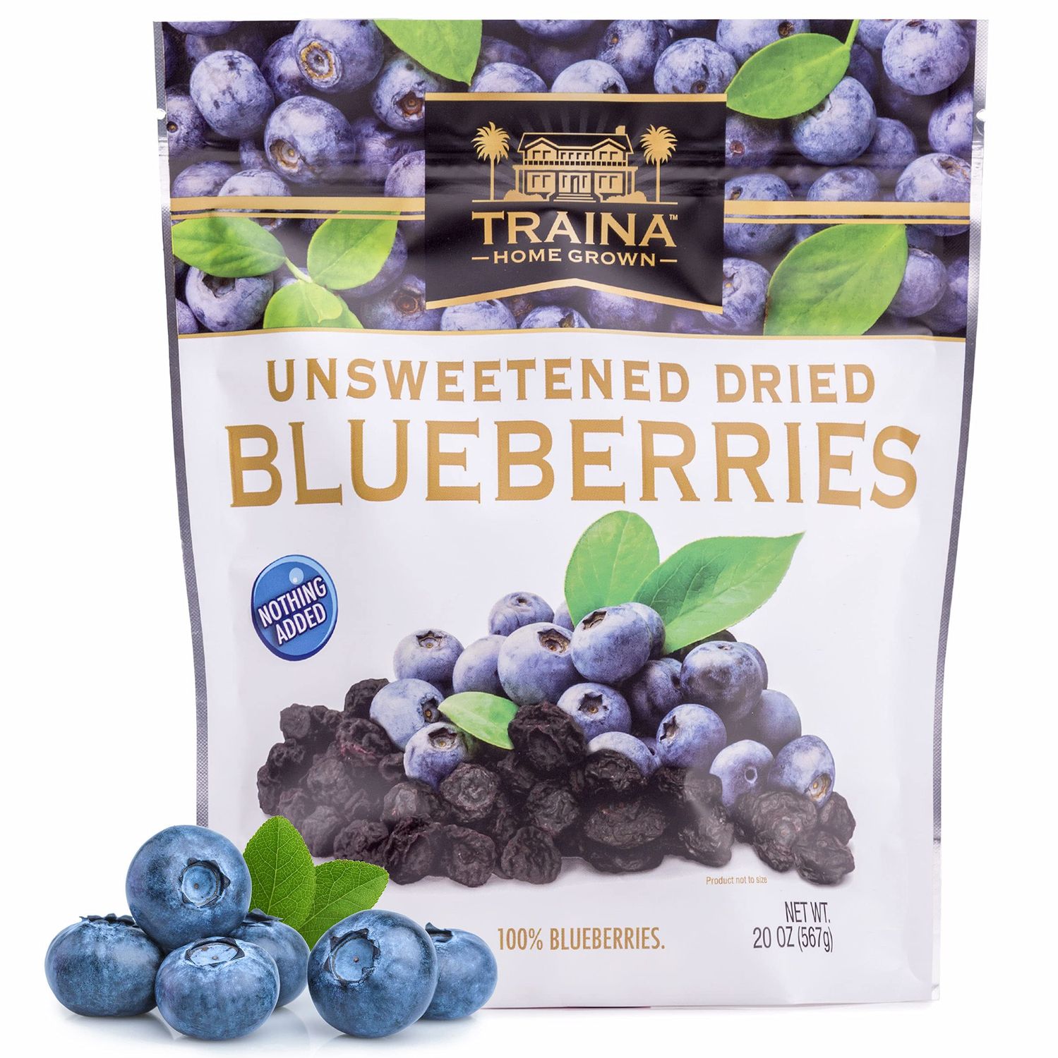 Traina Home Grown Unsweetened Dried Blueberries - Healthy &amp; Non-GMO, Natural Sweet Flavor With No Sugar Added, Perfect Snack In Resealable Pouch (20 Oz)