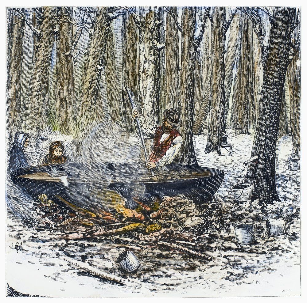 Maple Syrup 1877 Nboiling And Stirring Maple Sap In Order To Make Syrup Wood Engraving American 1877 Poster Print by (18 x 24)