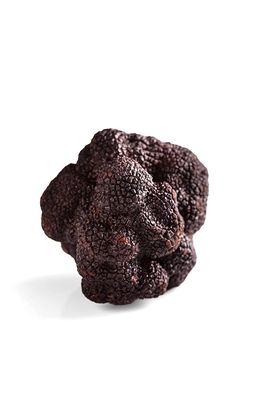 La Rustichella - Black Truffle Pat 9.88 oz (280 gr) - Kosher - 100% Made in Italy | Vegan, Gluten-Free, Cholesterol-Free